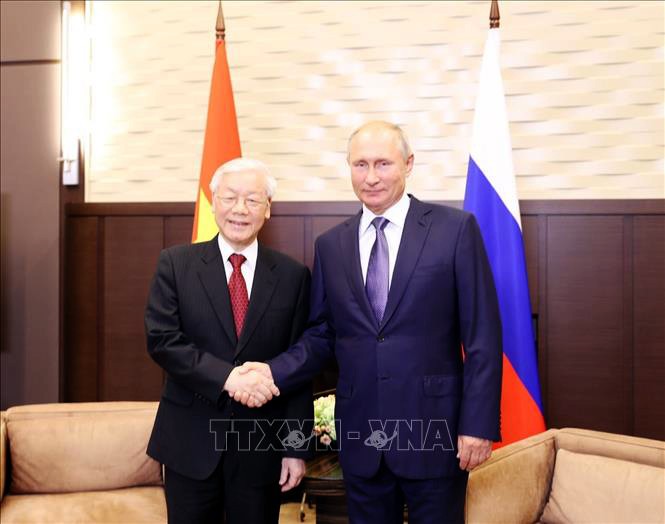 Ciudadanos rusos esperan nuevos frutos en las relaciones con Vietnam - ảnh 1