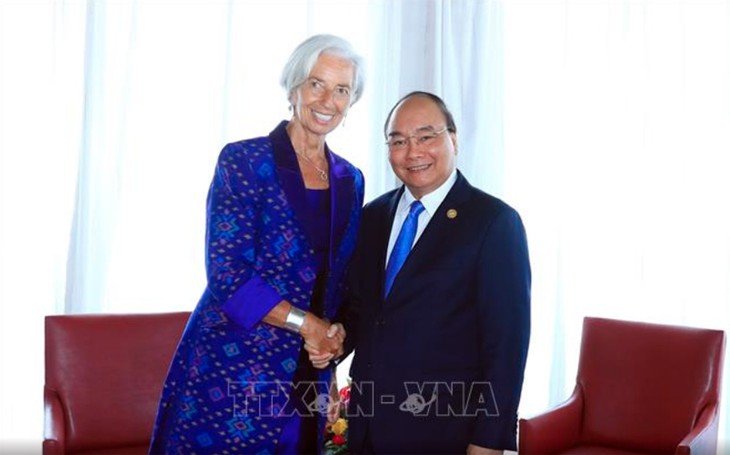 Vietnam incrementa la cooperación con el Fondo Monetario Internacional - ảnh 1