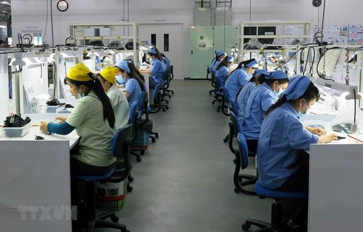 Informe Económico Anual de Vietnam pronostica un crecimiento del 6,5 y 6,8% en 2019 - ảnh 1