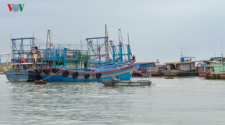 Provincia de Ba Ria Vung Tau contribuye a los esfuerzos nacionales por mejorar la pesca - ảnh 2