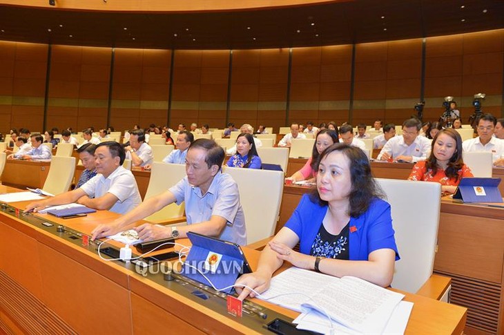 Parlamento vietnamita aprueba leyes trascendentales para el desarrollo nacional - ảnh 1