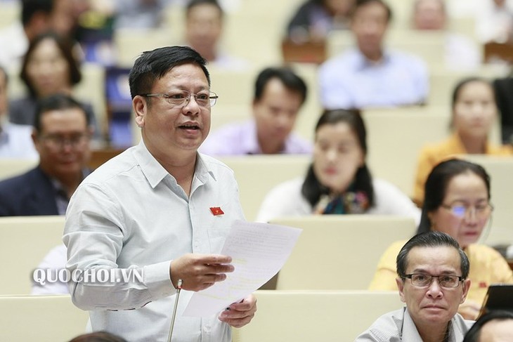 Parlamento vietnamita eleva la eficiencia de la interpelación   - ảnh 2