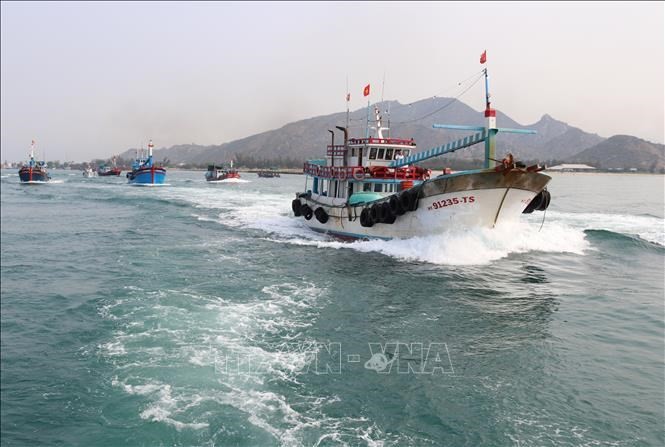 Localidad survietnamita contribuye a esfuerzos por levantar sanciones europeas a la pesca - ảnh 1