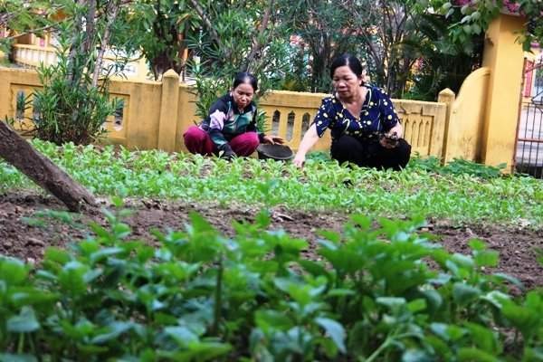 Mujeres de Da Nang promueven el modelo “Vivir verde” para el desarrollo sostenible - ảnh 2