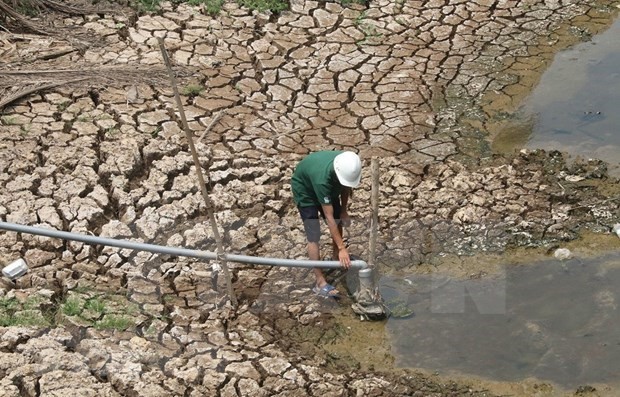 Banco vietnamita por apoyar a compatriotas perjudicados por sequía y la salinización - ảnh 1