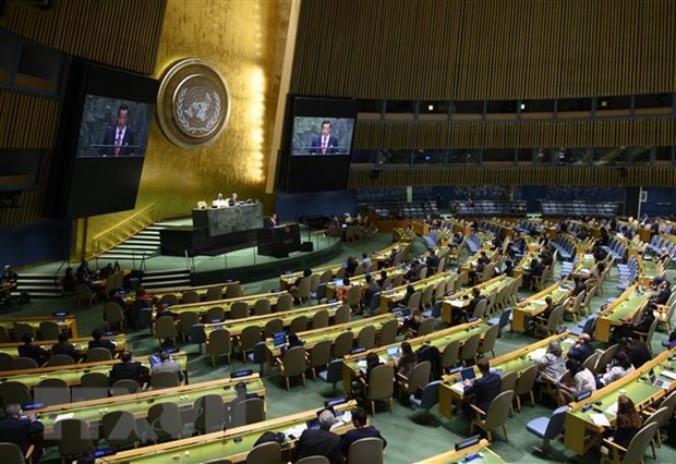 Desafíos y expectativas planteados al Consejo de Seguridad de la ONU y sus nuevos miembros permanentes - ảnh 1