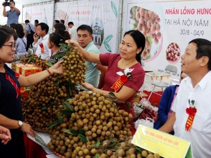 Hung Yen fortalece la promoción del consumo de productos agrícolas - ảnh 1