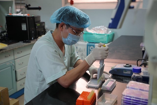 Vietnam comienza a probar una nueva vacuna contra el covid-19 en monos - ảnh 1