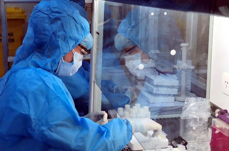 Vietnam encuentra nueva variante del nuevo coronavirus en el territorio nacional - ảnh 1