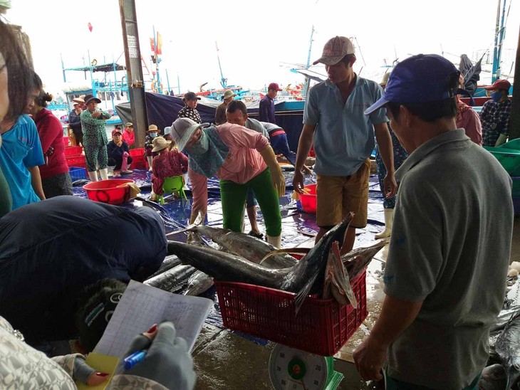 Pescadores de centro sur logra abundante cosecha durante el Festival del Año Nuevo Lunar 2021  - ảnh 1