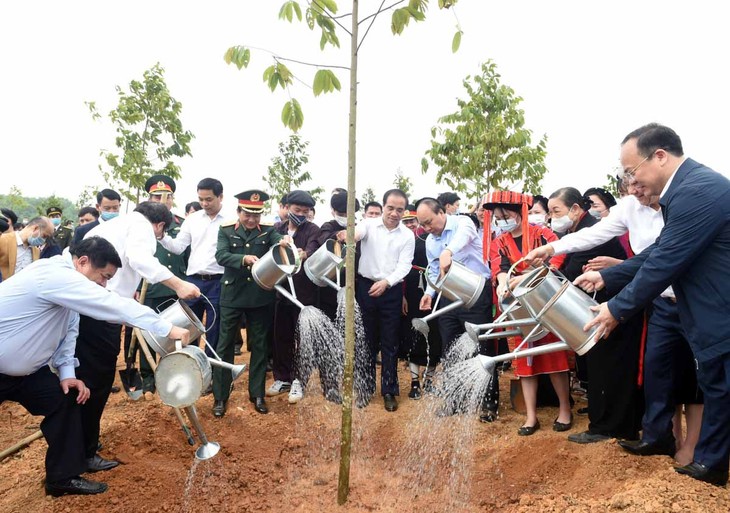 Continúan las actividades para cumplir el objetivo de sembrar mil millones de árboles en Vietnam - ảnh 1