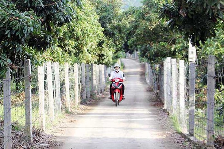 La vida rural de nuevo estilo en la comuna de Chieng Khuong - ảnh 1
