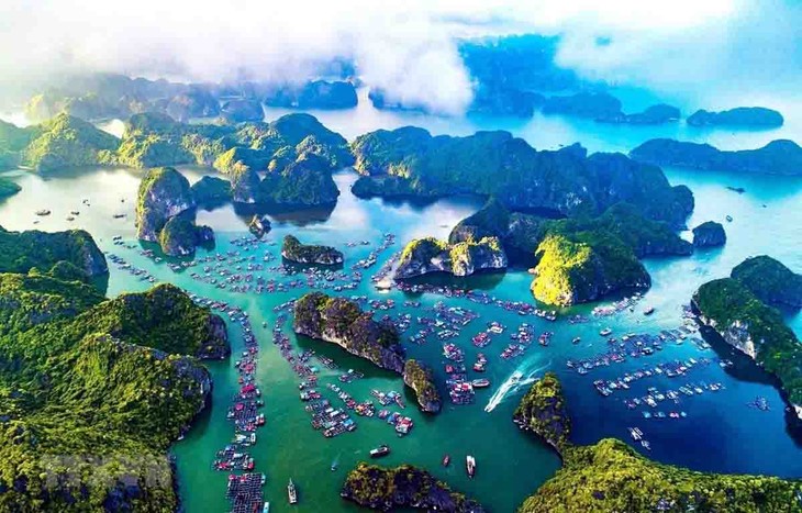 Vietnam impulsa la protección de los océanos y el desarrollo sostenible de los medios de vida - ảnh 1