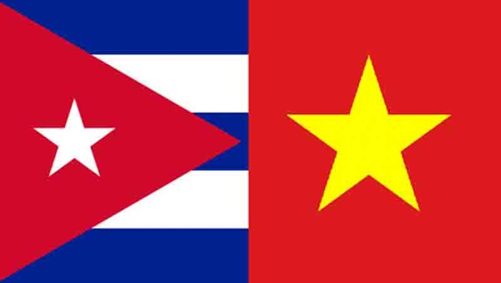 Vietnam se solidariza con Cuba en la superación de las dificultades - ảnh 1