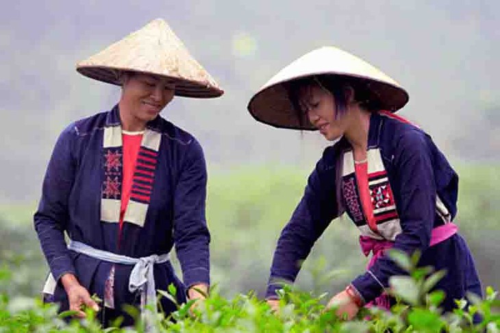 El grupo étnico Cao Lan preserva su traje tradicional  - ảnh 1