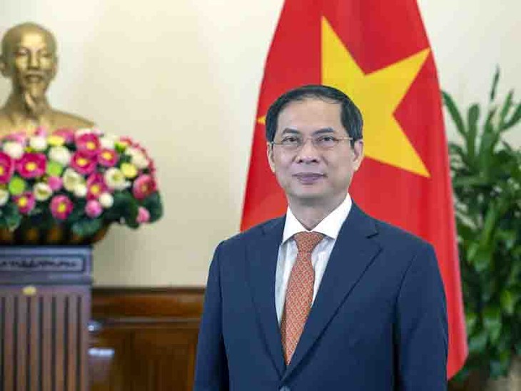 Vietnam promueve una diplomacia integral y moderna al servicio del desarrollo - ảnh 1