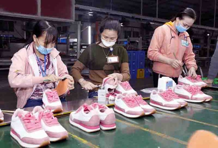 Aumento notable de la cuota mundial de calzado de Vietnam - ảnh 1