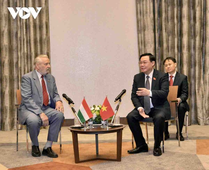 Vietnam y Hungría diversifican el intercambio pueblo a pueblo - ảnh 1