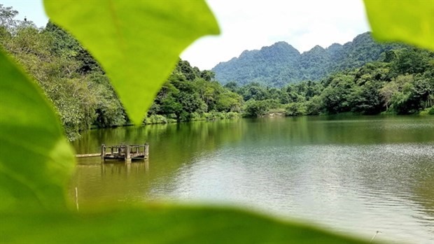 Cuc Phuong reconocido por cuarta vez como Parque Nacional líder de Asia por World Travel Awards - ảnh 1