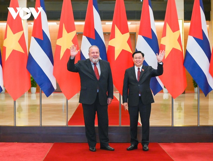 Presidente del Parlamento vietnamita recibe al primer ministro cubano - ảnh 1