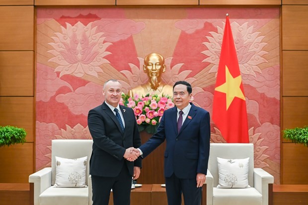 Vietnam y Rumanía fomentan la cooperación multifacética - ảnh 1
