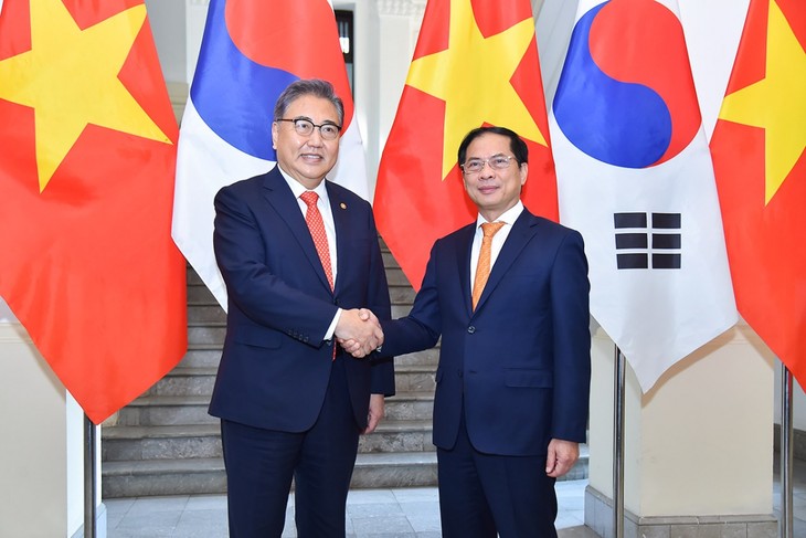 Ministro de Relaciones Exteriores de Corea del Sur sostiene conversación con su homólogo vietnamita - ảnh 1