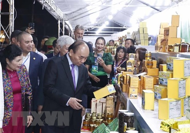 Presidente Nguyen Xuan Phuc orienta el aumento del valor del ginseng vietnamita - ảnh 1