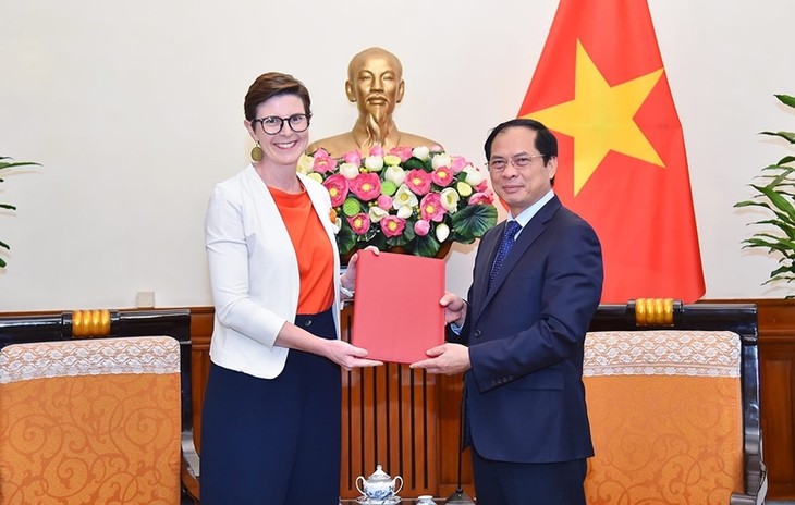 Vietnam y OMS fortalecerán cooperación en salud - ảnh 1