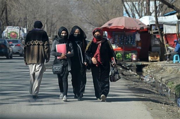 Autoridades talibanes exigen a las ONG que prohíban a las mujeres en los entornos laborales    - ảnh 1