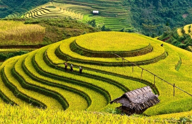 Bahía de Ha Long y Mu Cang Chai entre destinos más coloridos del mundo - ảnh 1