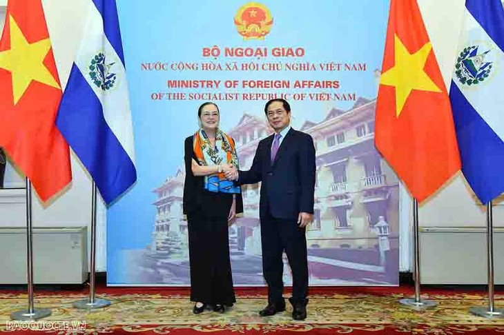 Vietnam y El Salvador fomentan las relaciones de cooperación multifacética - ảnh 2