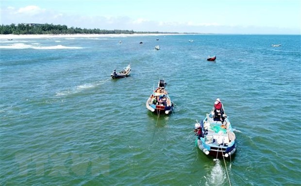 Quang Tri en su lucha contra la pesca ilegal, no declarada y no reglamentada - ảnh 1