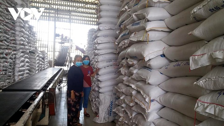 El precio del arroz de exportación de Vietnam es el más alto del mundo - ảnh 1