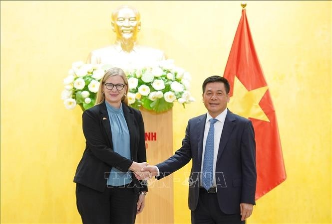 Comercio, sector de cooperación potencial entre Vietnam y Suecia - ảnh 1