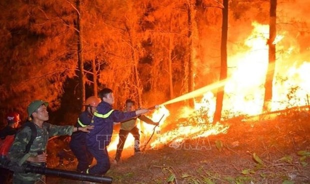 Primer Ministro orienta mayores esfuerzos para prevenir contra incendios forestales - ảnh 1