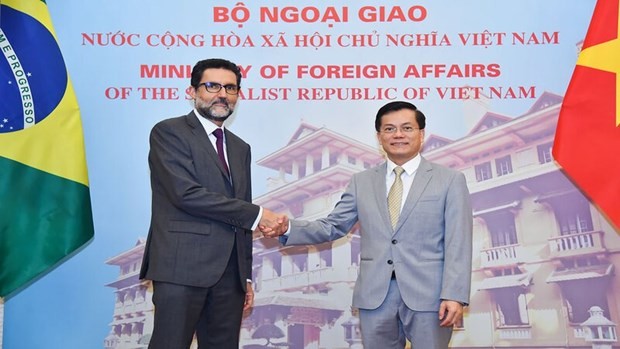 Impulso a la asociación integral Vietnam-Brasil - ảnh 1