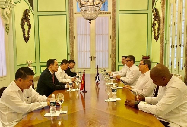 Vietnam y Cuba consolidan las relaciones políticas - ảnh 1