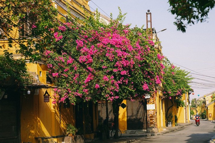 Ciudad Ho Chi Minh y Casco Antiguo de Hoi An en la lista de destinos favoritos en Asia - ảnh 1