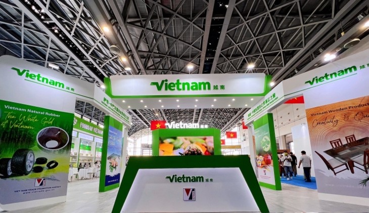 Vietnam presta mayores aportes a la cooperación China-ASEAN - ảnh 1