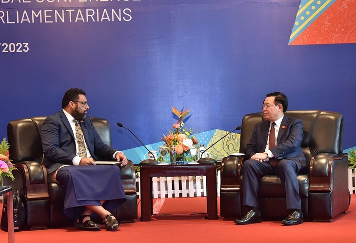 Vietnam fomenta la cooperación con Reino de Tonga - ảnh 1