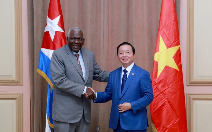 Líderes cubanos se reúnen con el Viceprimer ministro de Vietnam - ảnh 1
