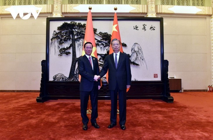 El Presidente de Vietnam se reúne con el titular del Parlamento chino - ảnh 1