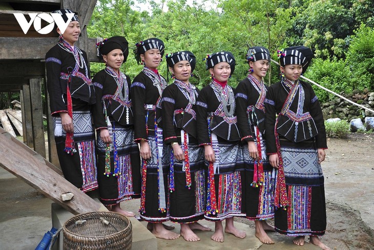 Preservan la cultura peculiar de la etnia Lu en Lai Chau - ảnh 1