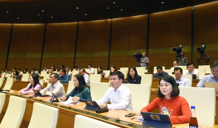 Parlamento de Vietnam aborda implementación de 3 Programas de Objetivos Nacionales - ảnh 1