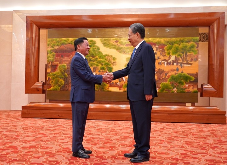 China considera a Vietnam una prioridad en su política exterior vecinal - ảnh 1