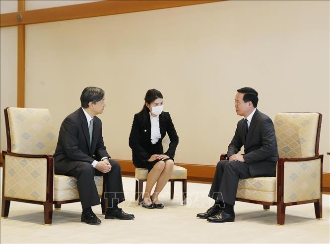 El presidente Vo Van Thuong se reúne con el Emperador de Japón - ảnh 1