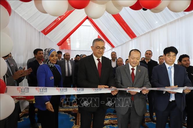 Inauguran primera fábrica de Vietnam en Egipto - ảnh 1