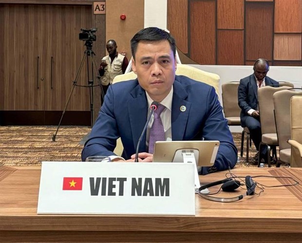 Vietnam aporta propuestas a la III Cumbre del Sur - ảnh 1