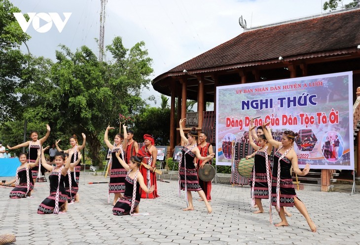 Preservar y promover los valores culturales de las minorías étnicas, políticas consistentes de Vietnam - ảnh 1