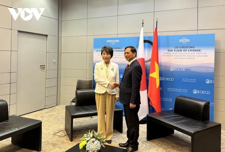Vietnam vigoriza cooperación con Japón y Australia - ảnh 1